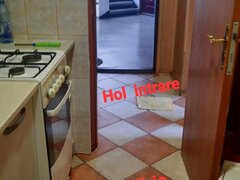 Cismigiu, Kogalniceanu